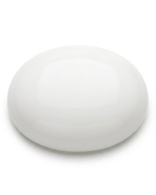 White Coral (Moonga)